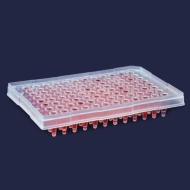 PCR Plakları-2